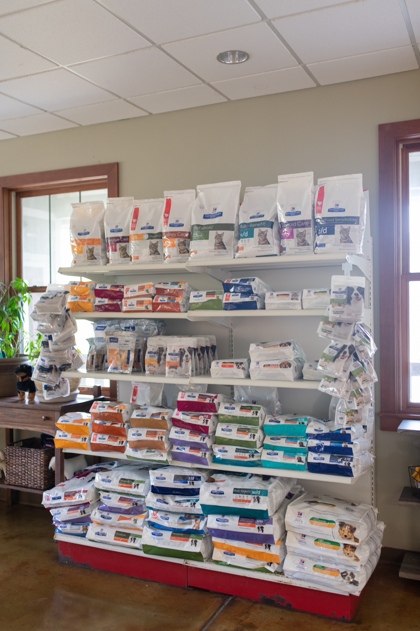 A look at Galloway Village Veterinary's fully stocked pharmacy.