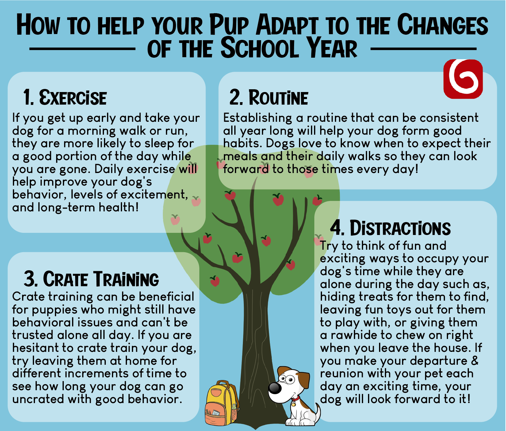 4 tips on how to help your pup adapt to the changes of the school year.