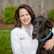 Dr. Jaime Kurucz, DVM at Galloway Village Veterinary, Springfield, MO