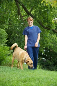 A kennel technician at Galloway Village Veterinary taking one of our boarding pets for a walk.
