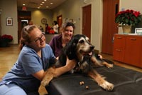 Two technicians at Galloway Village Veterinary examining a dog before their x-rays
