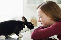 Rabbits have become popular pets among pet owners.