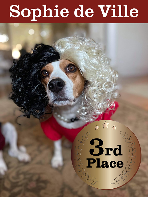 3rd Place prize in our Pet Halloween Costume Contest 