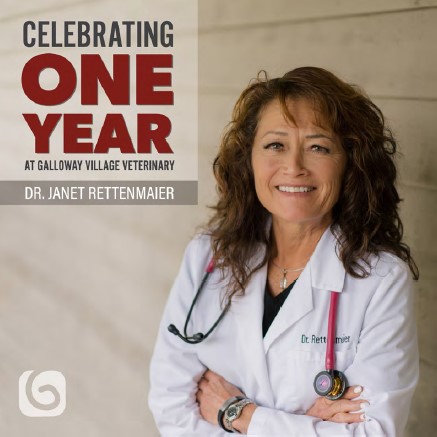 dr-Rettenmaier-celebrates-one-year-at-galloway-village-veterinary