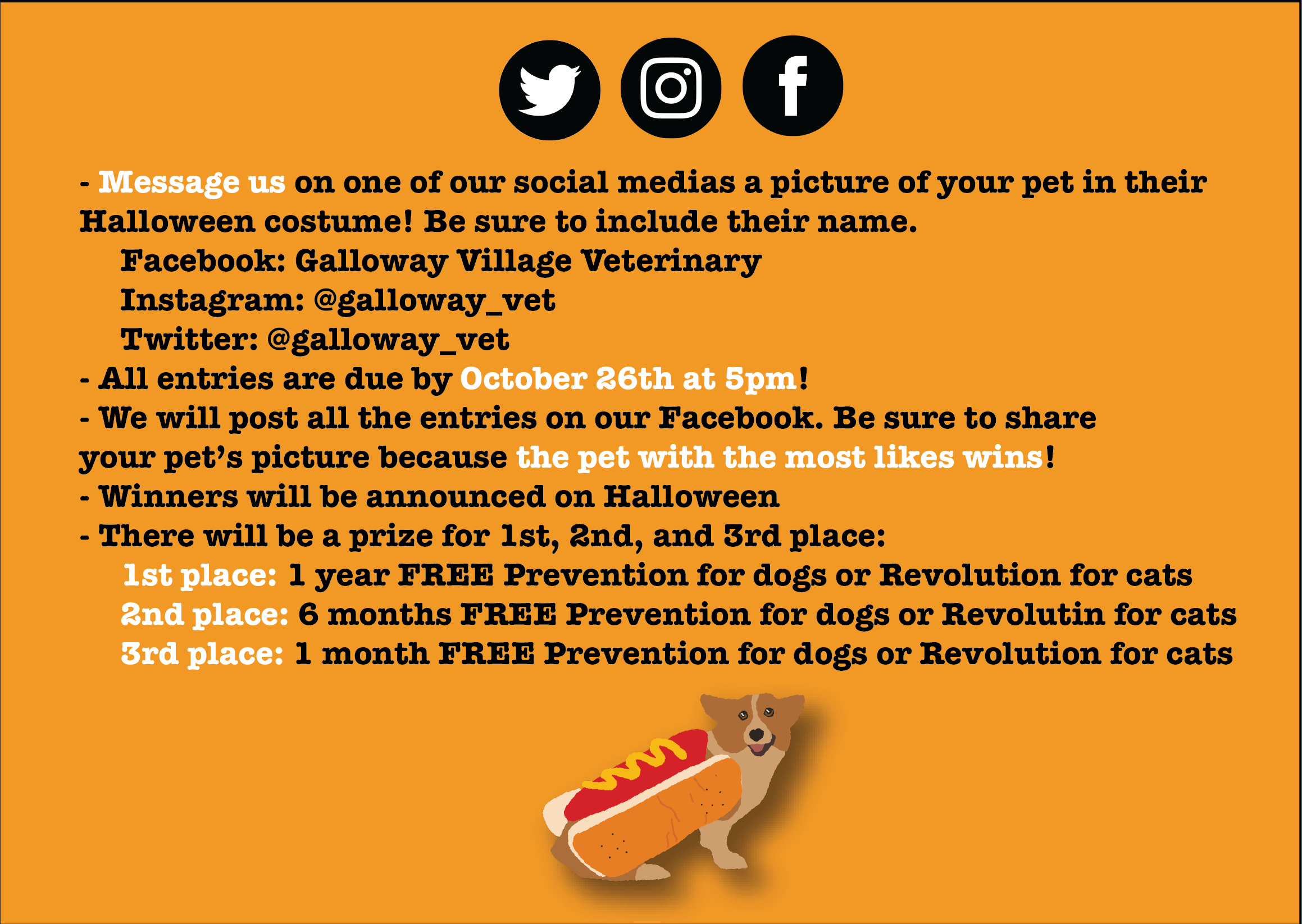The details for Galloway Village Veterinary's Annual Costume Contest