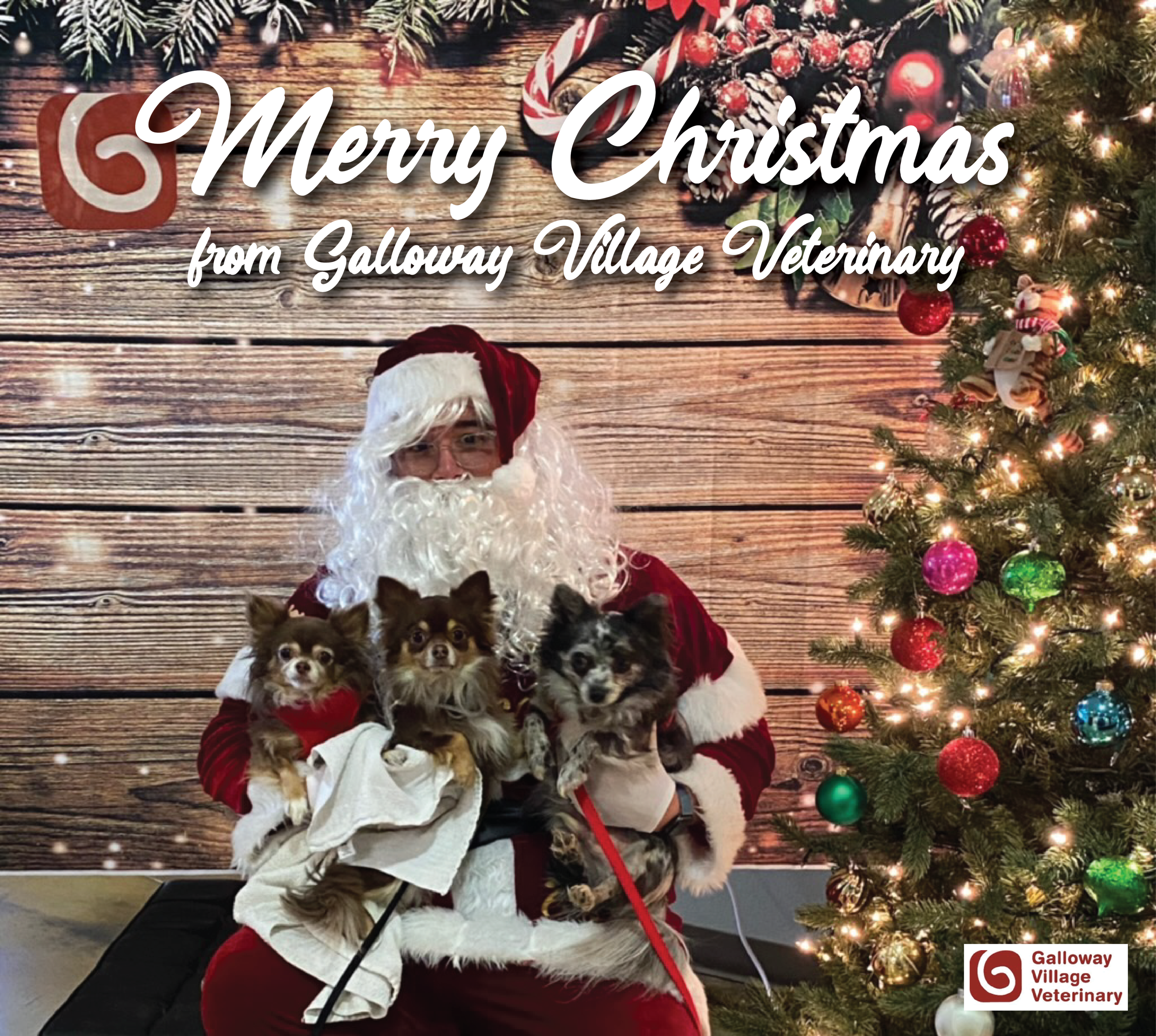 Santa visited Galloway Village Veterinary and posed for pictures with a few lucky pets.